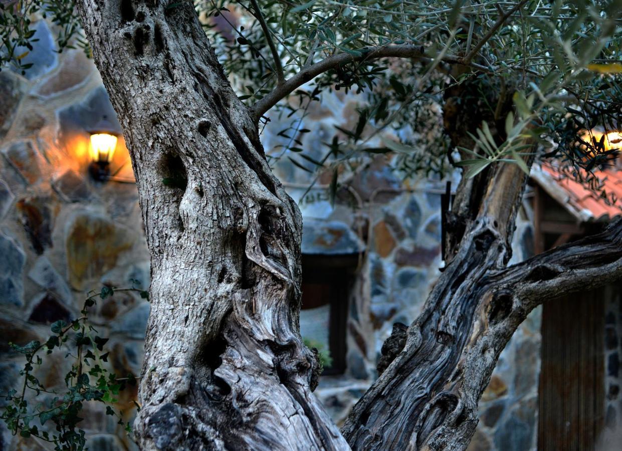 Tamajon La Casita De Leire旅馆 外观 照片
