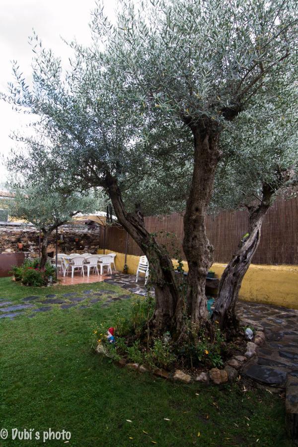Tamajon La Casita De Leire旅馆 外观 照片