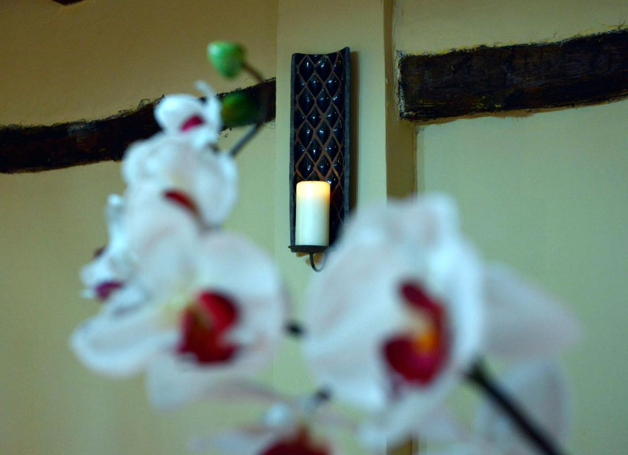 Tamajon La Casita De Leire旅馆 外观 照片