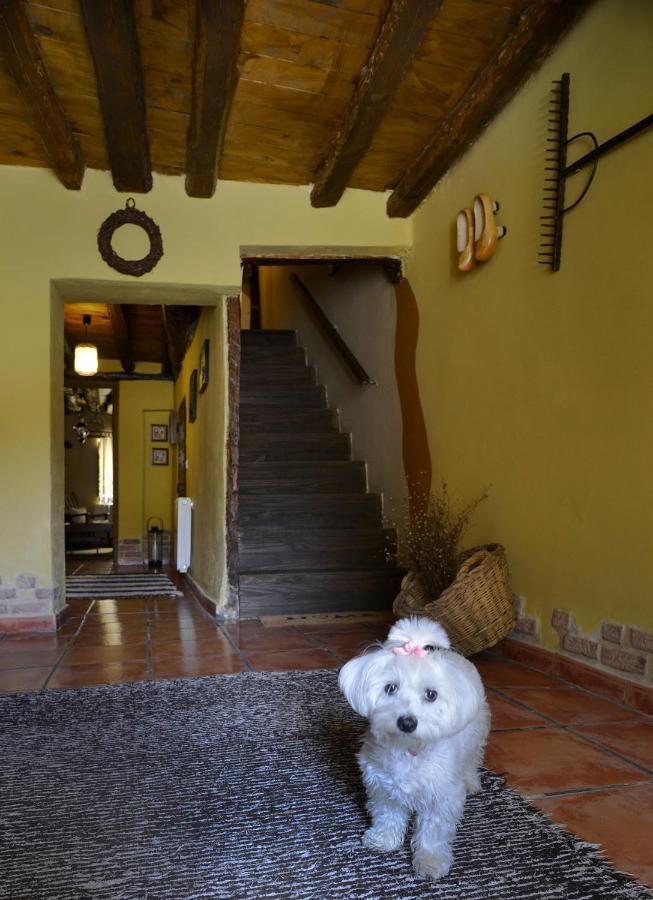 Tamajon La Casita De Leire旅馆 外观 照片