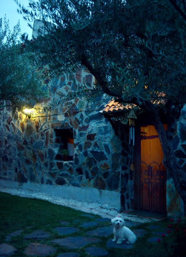 Tamajon La Casita De Leire旅馆 外观 照片