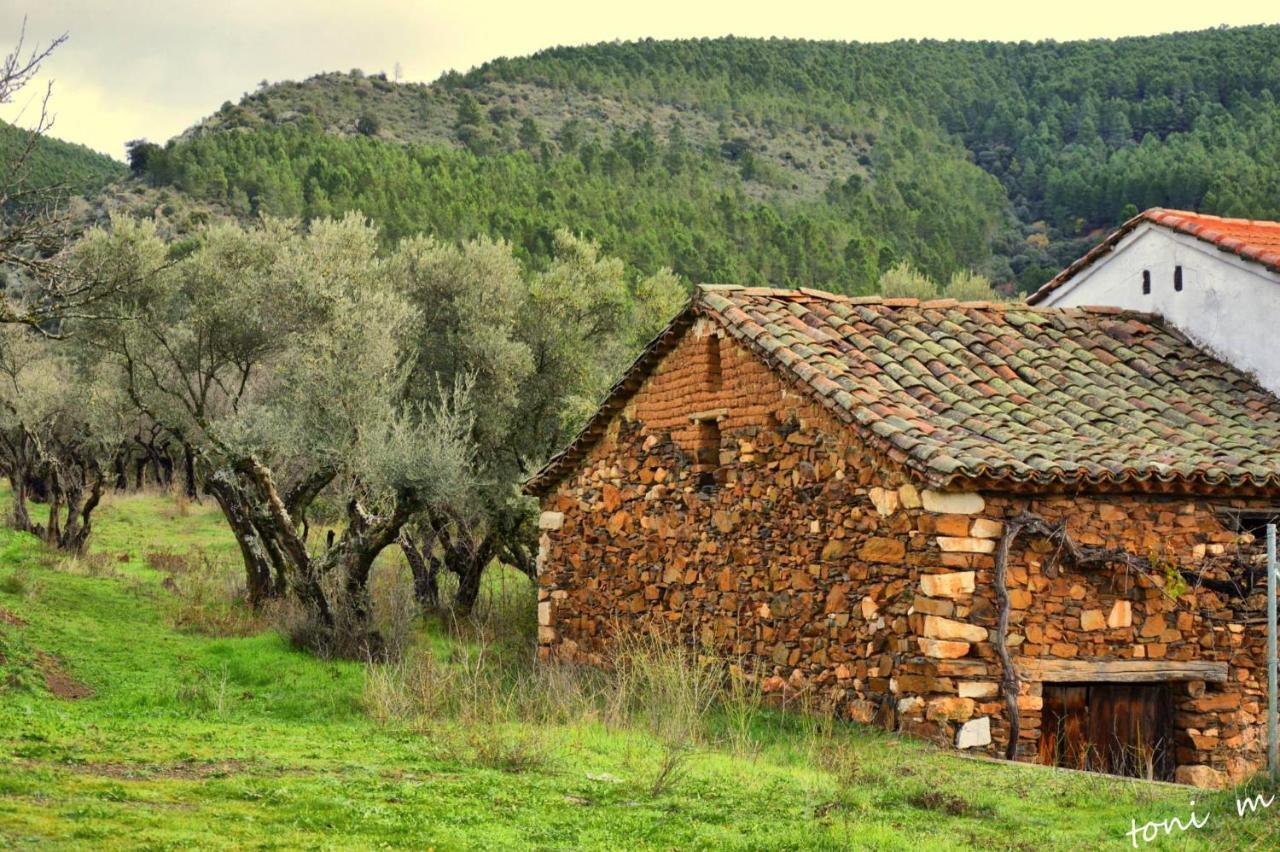 Tamajon La Casita De Leire旅馆 外观 照片
